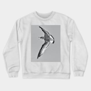 Attacking Gull Crewneck Sweatshirt